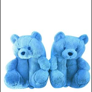 Teddy bear 🧸 house shoes